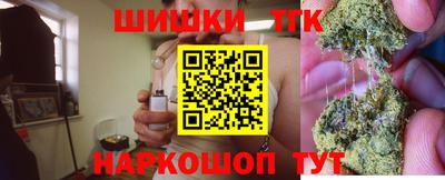 тгк Будённовск