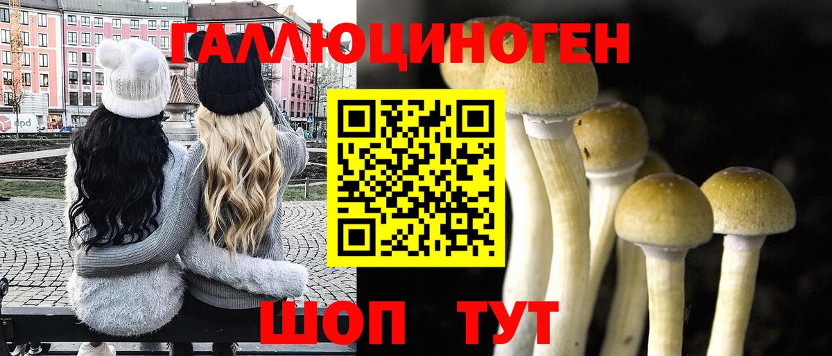 Саки  Галлюциногенные грибы прущие грибы  Вход с VPN 