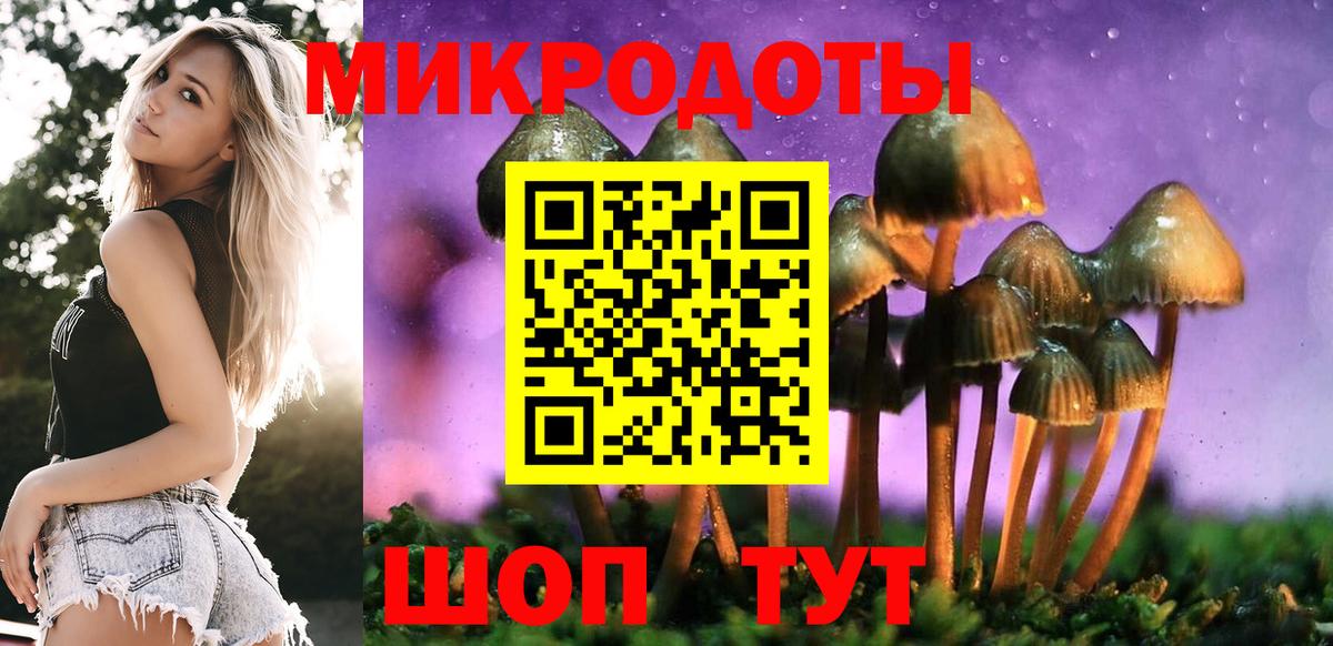 Галлюциногенные грибы Psilocybine cubensis Саки